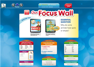 focus wall 